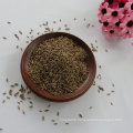 High Quality Nature Cumin Seeds Wholesale